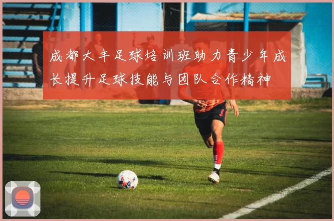 成都大丰足球培训班助力青少年成长提升足球技能与团队合作精神