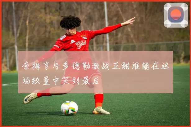 奈梅亨与多德勒激战正酣谁能在这场较量中笑到最后